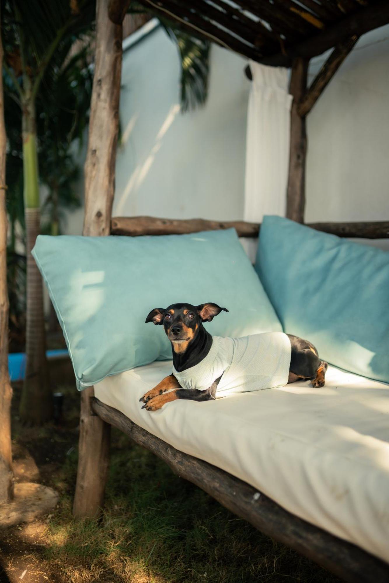 Jakes On The Beach Las Penitas Bagian luar foto